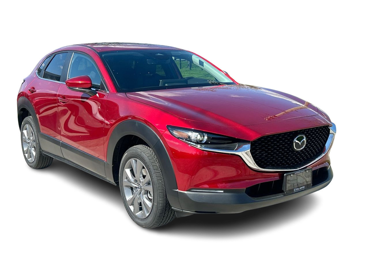 2025 Mazda CX-30 GS, Toronto, Cash