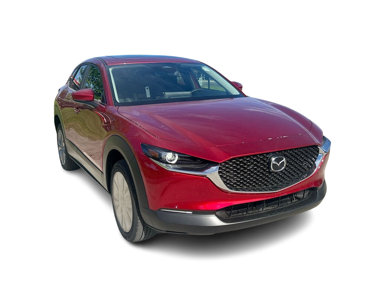 2025 Mazda CX-30 GS, Toronto, Cash