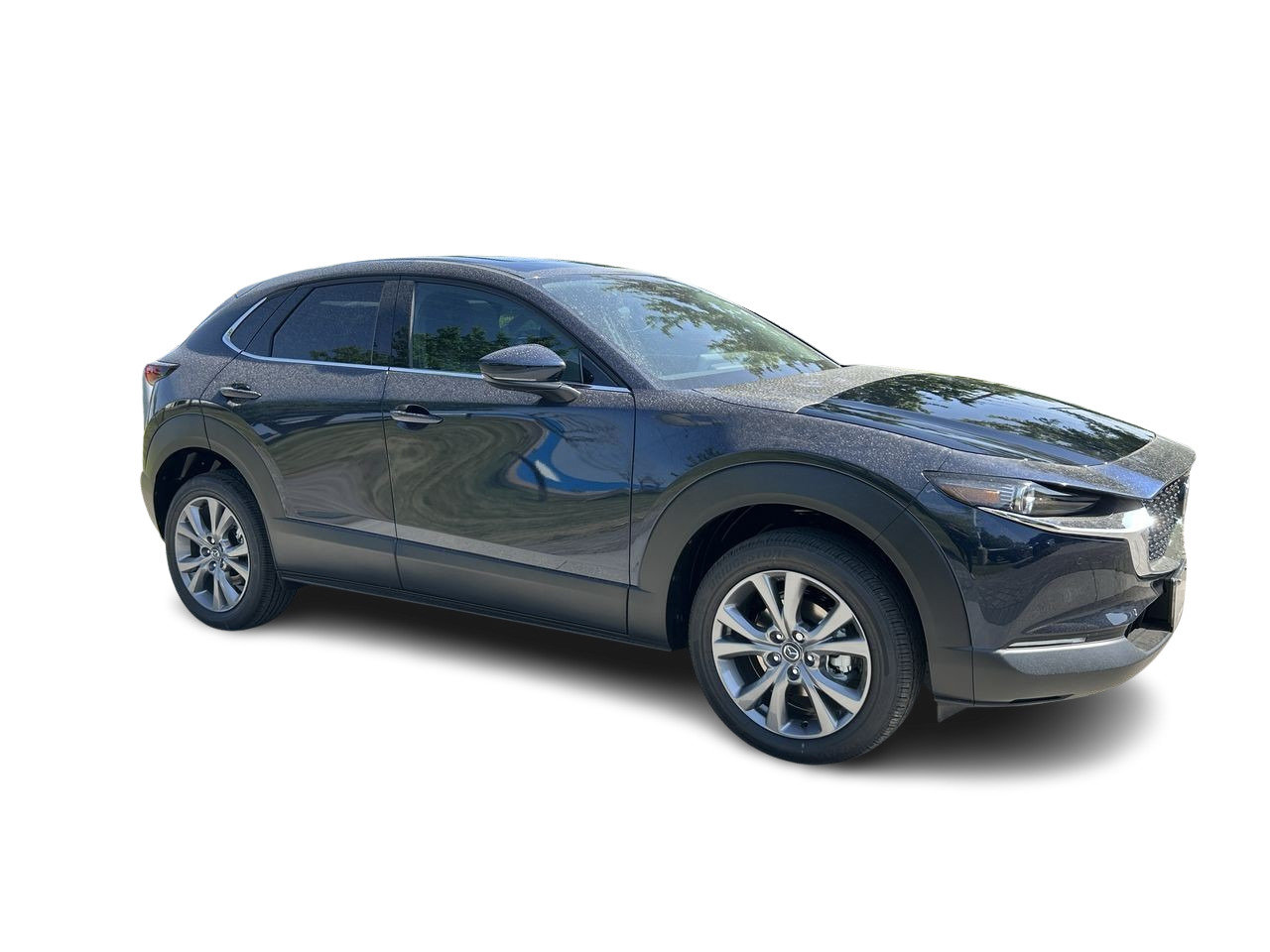 2025 Mazda CX-30 GT, Toronto, Cash