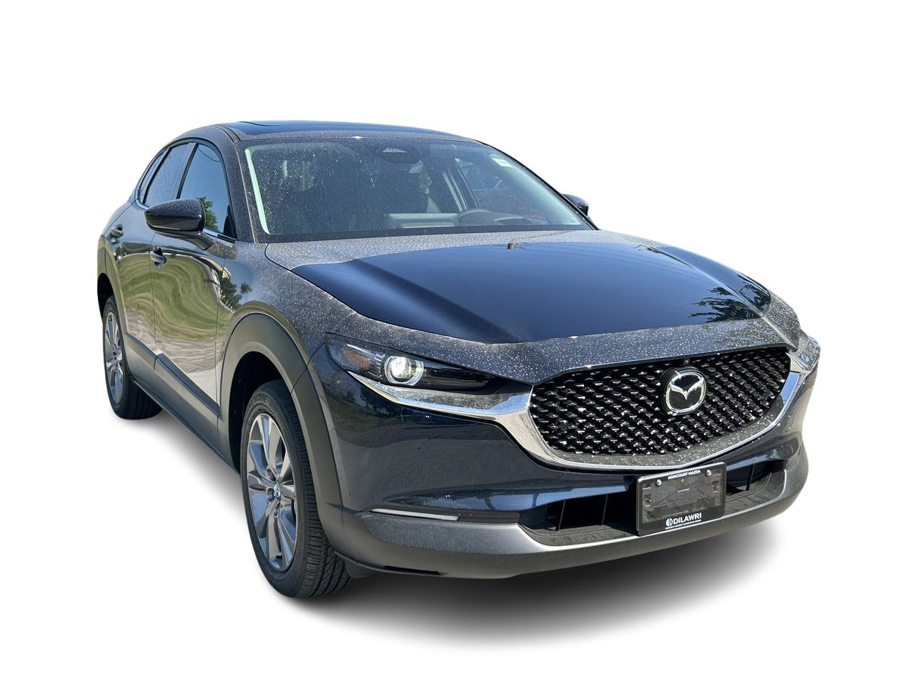 2025 Mazda CX-30 GT, Toronto, Cash