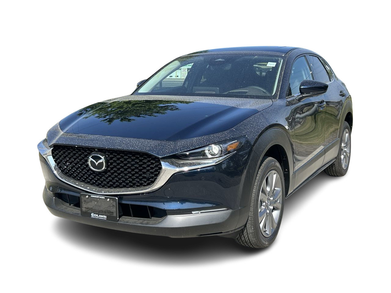 2025 Mazda CX-30 GT, Toronto, Cash