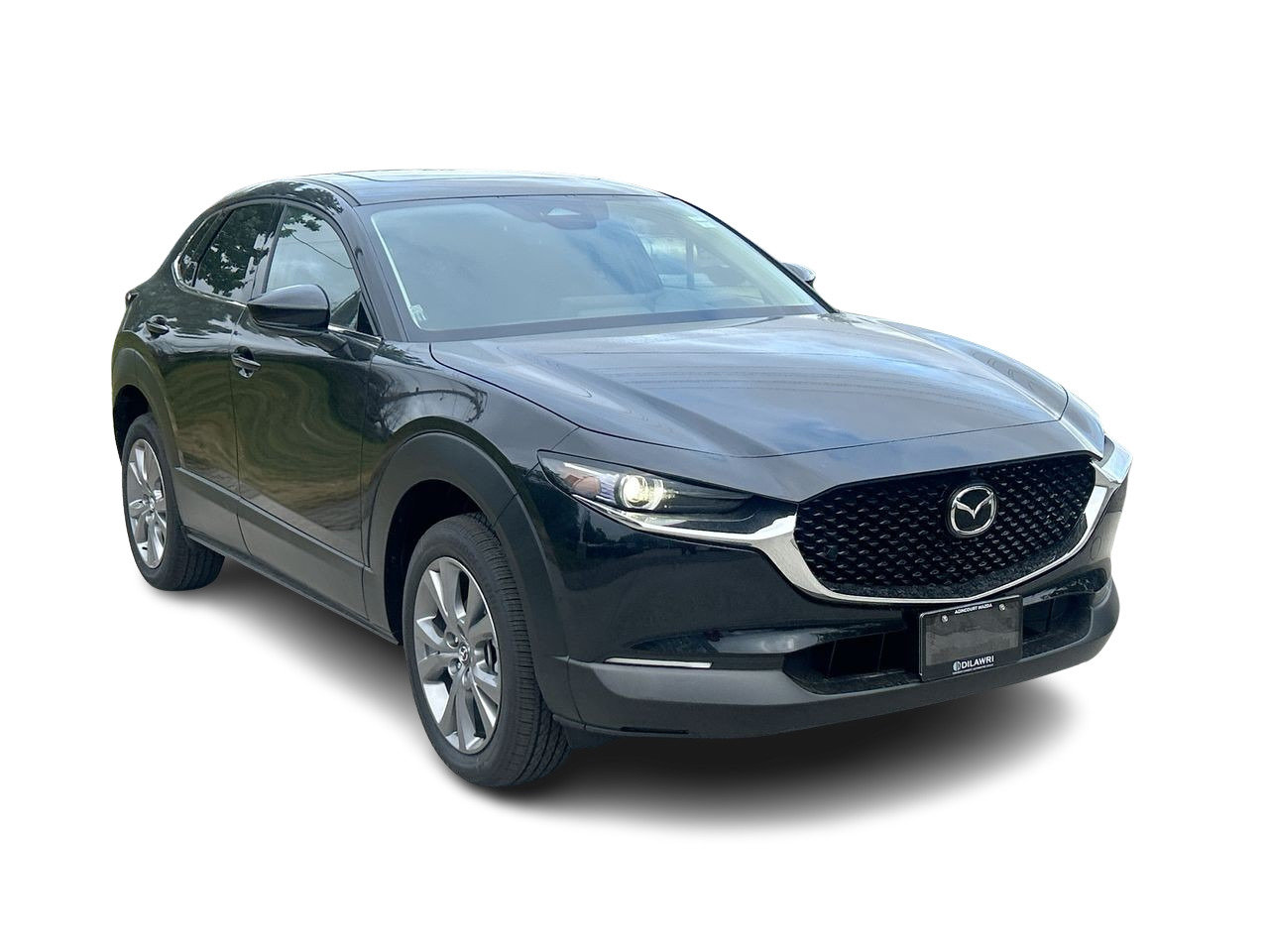 2025 Mazda CX-30 GT, Toronto, Cash