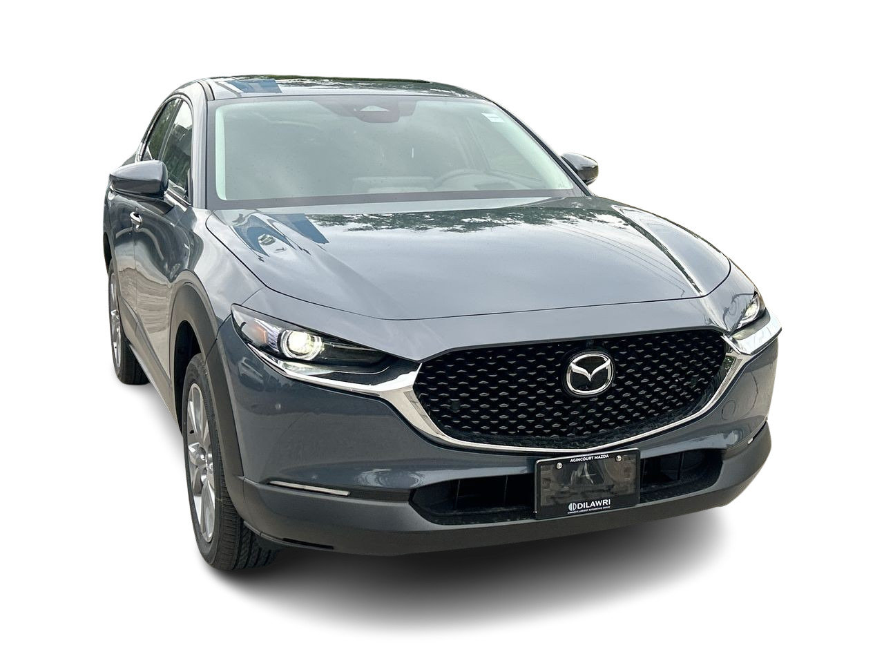 2025 Mazda CX-30 GT, Toronto, Cash