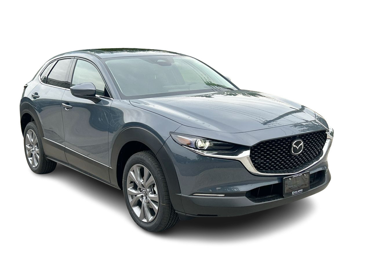 2025 Mazda CX-30 GT, Toronto, Cash