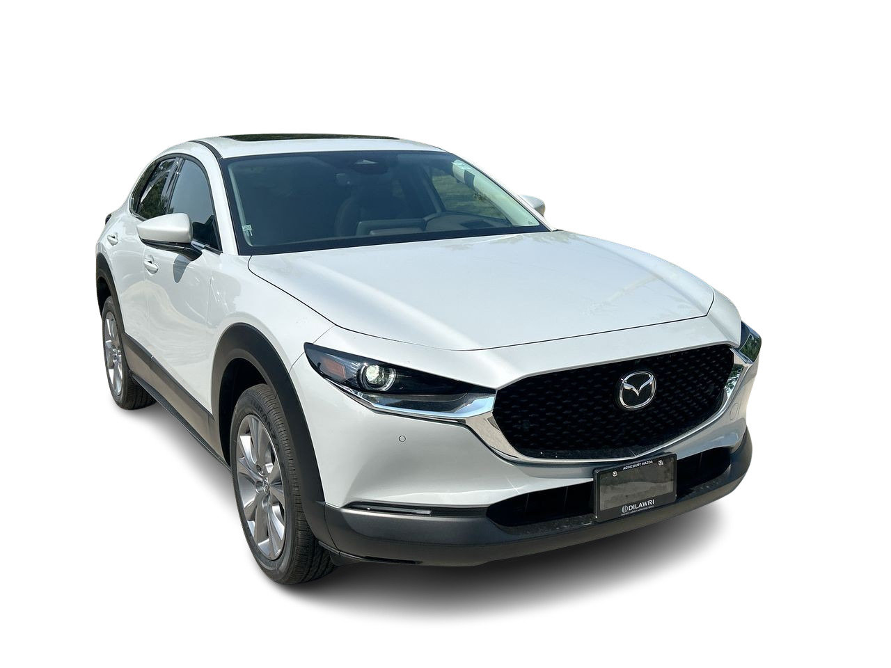 2025 Mazda CX-30 GT, 多伦多, 全款车