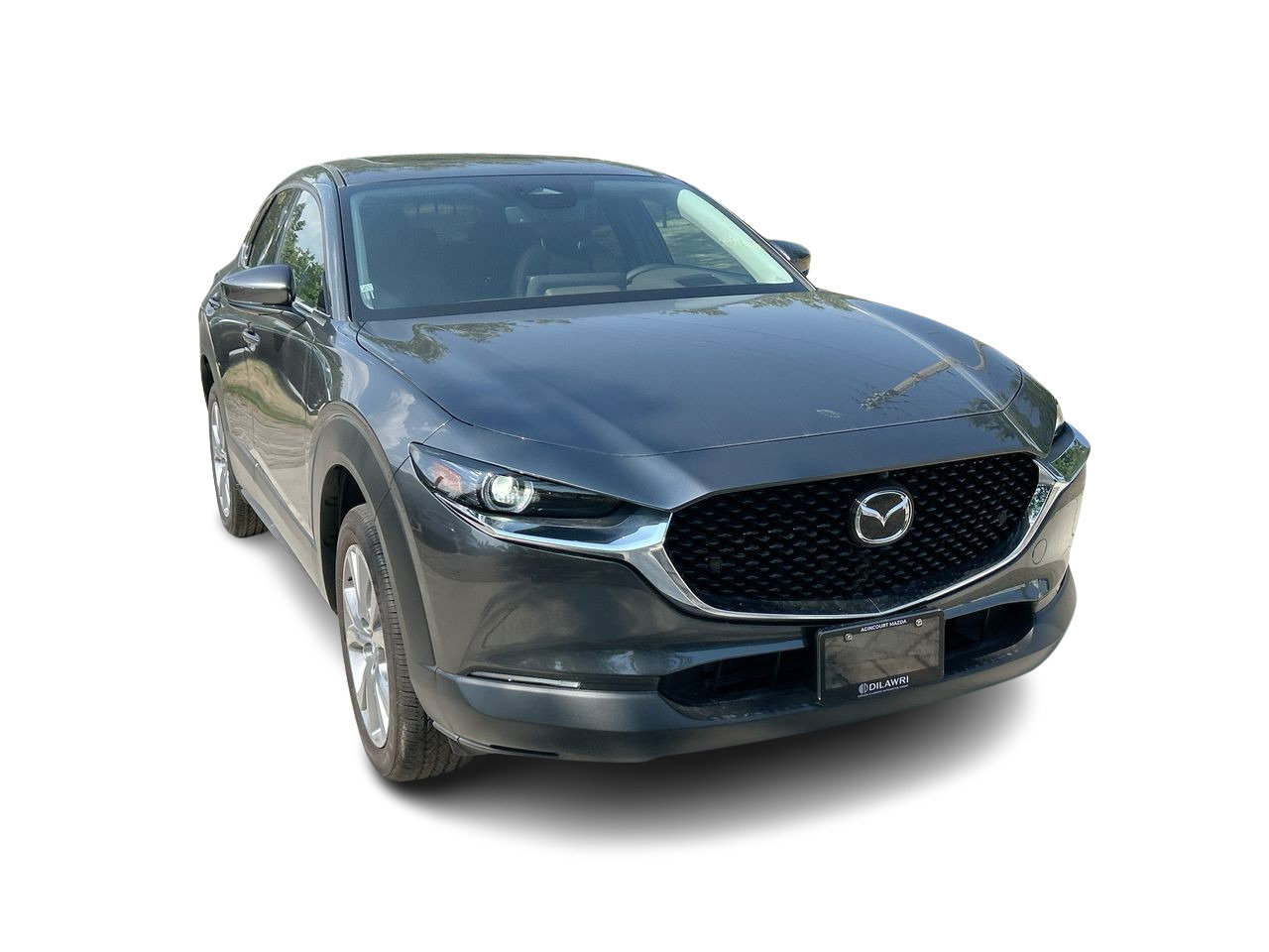2025 Mazda CX-30 GT, Toronto, Cash