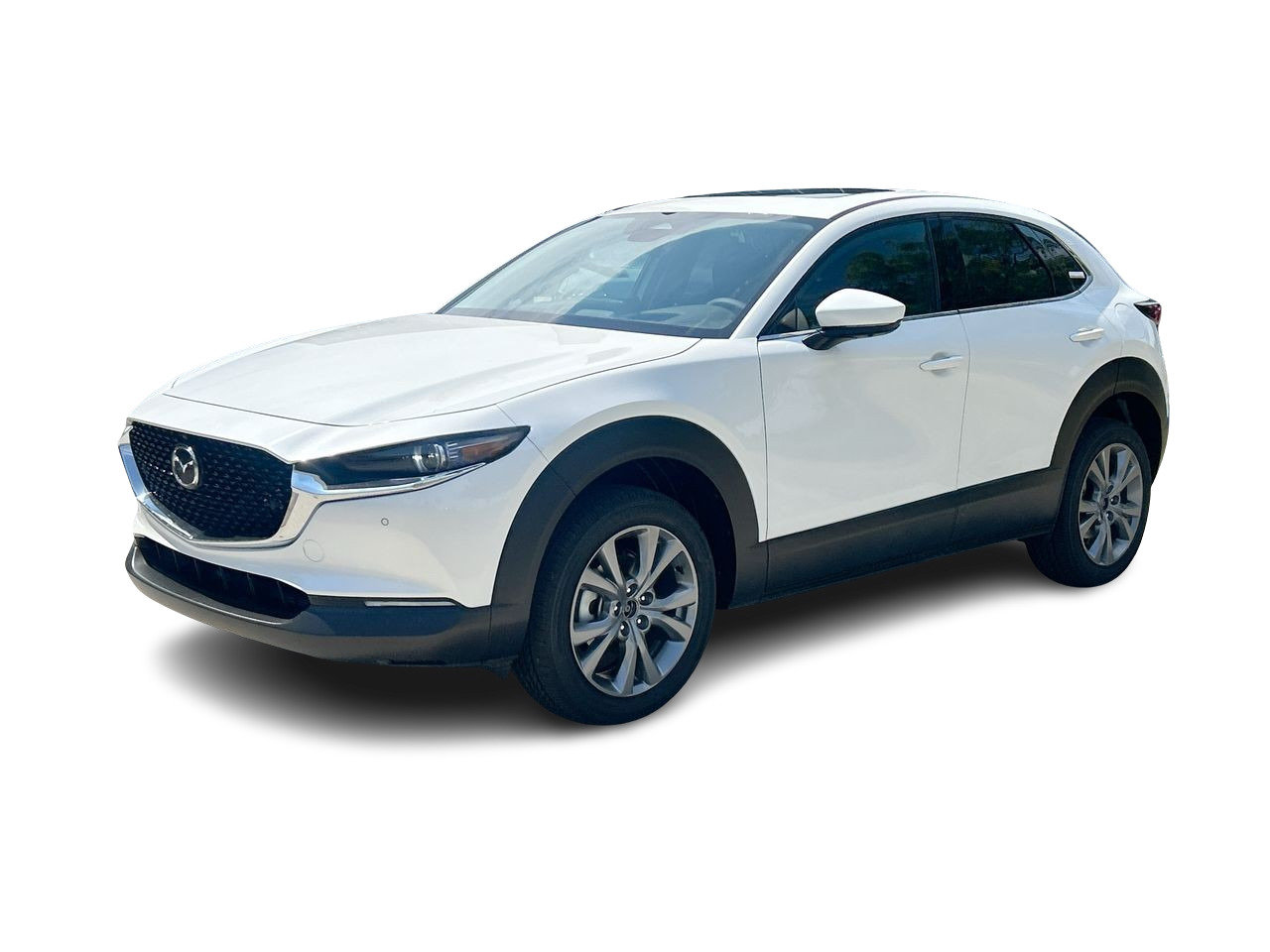 2025 Mazda CX-30 GT, Toronto, Cash