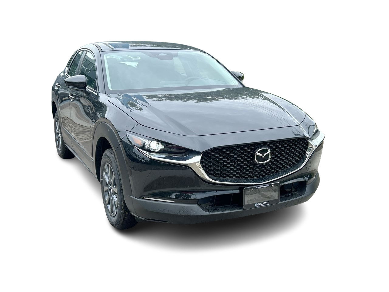 2025 Mazda CX-30 GX, 多伦多, 全款车