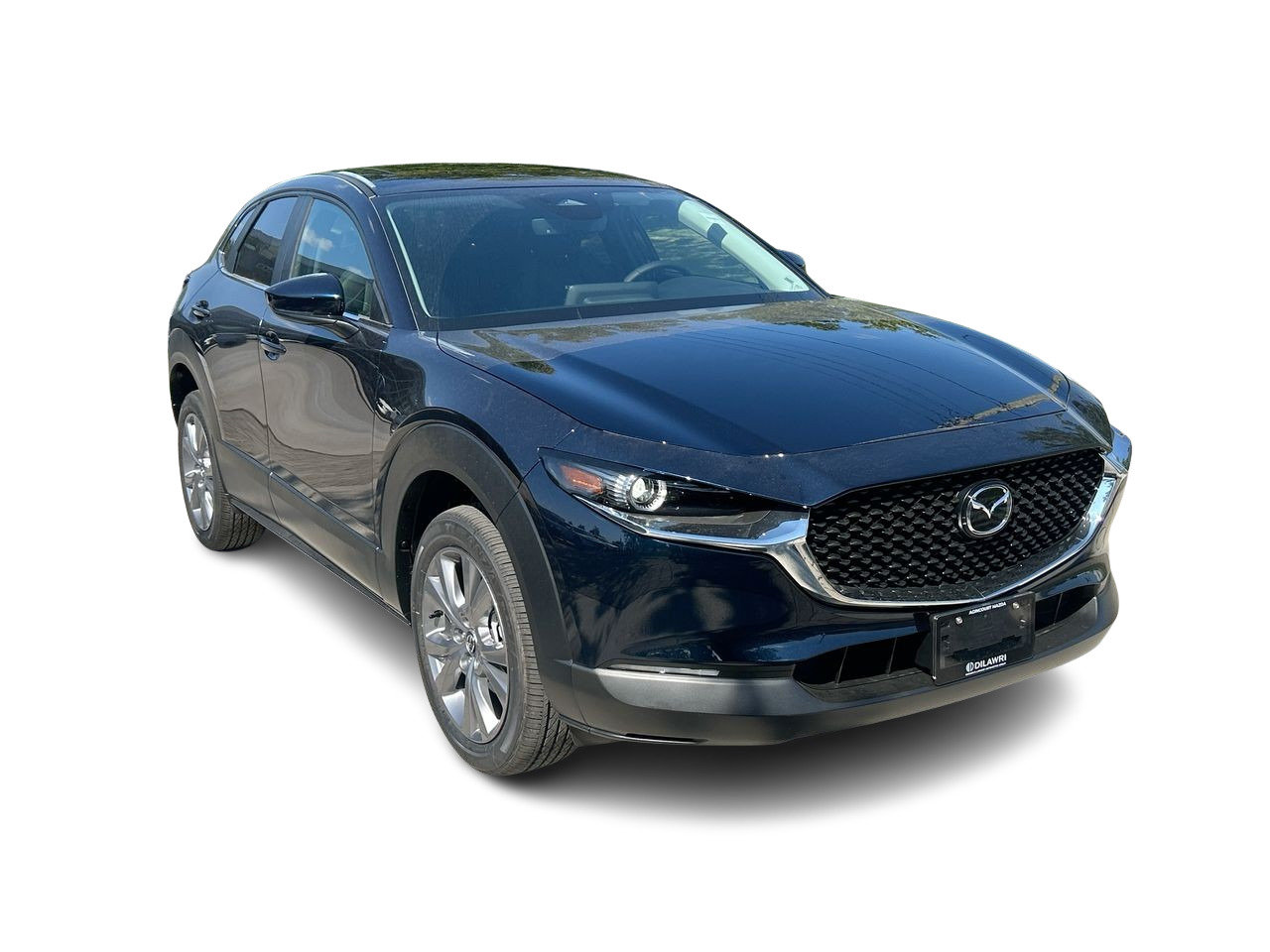 2025 Mazda CX-30 GS, Toronto, Cash