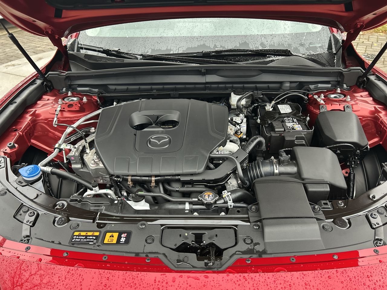2025 Mazda CX-50 GS-L, 多伦多, 全款车