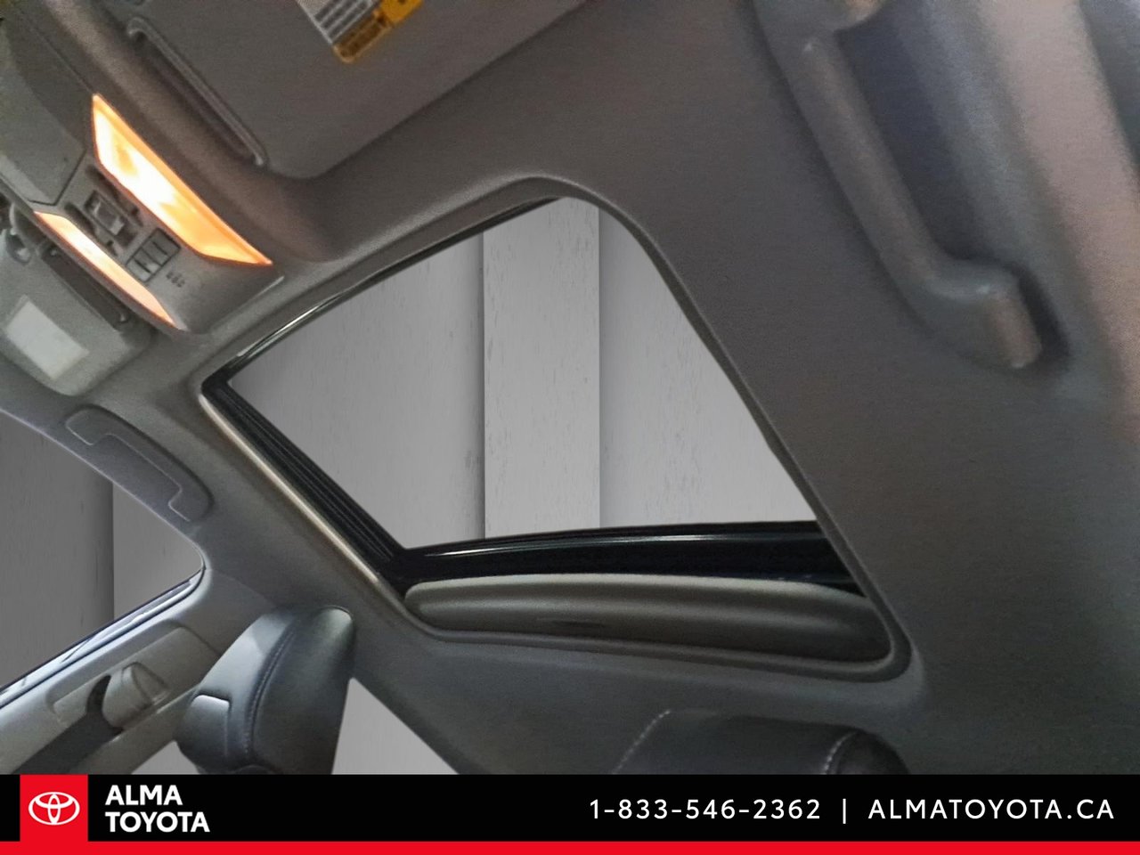 2019 Toyota RAV4 XLE PREMIUM-9
