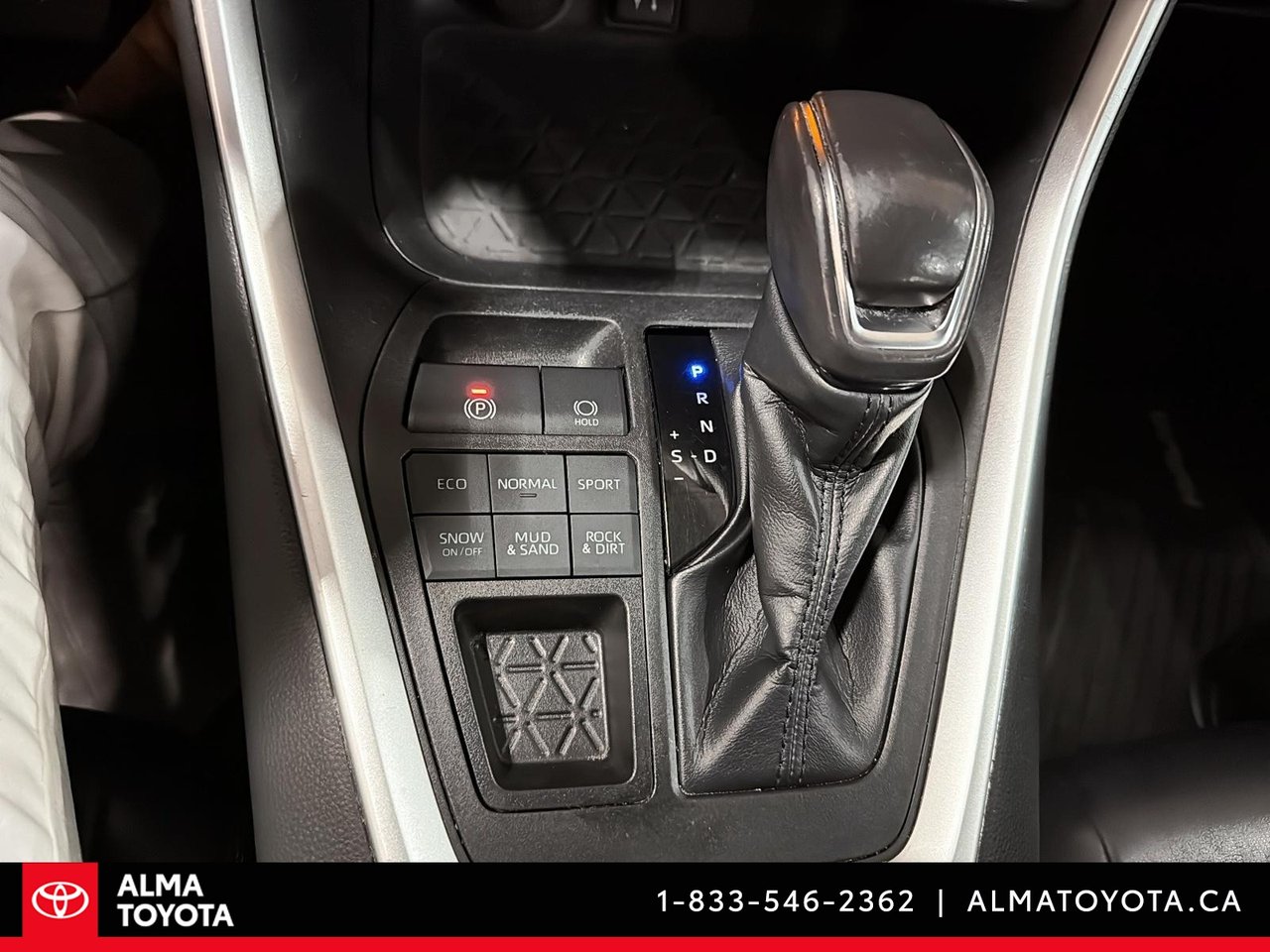 2019 Toyota RAV4 XLE PREMIUM-22