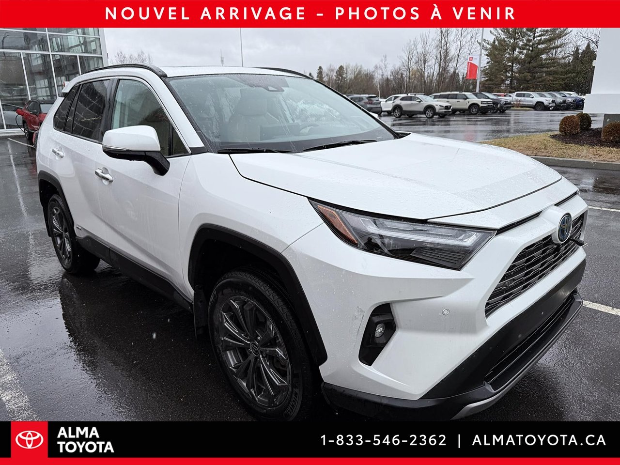 2023 Toyota RAV4 HYBRID LIMITED-1