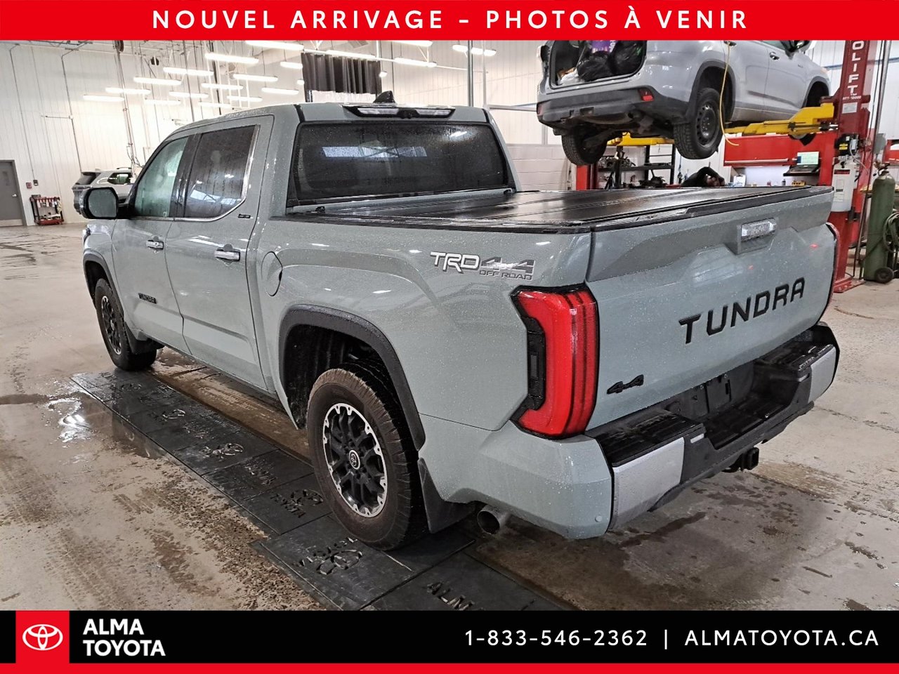 2023 Toyota Tundra LIMITED TRD OFF ROAD-3