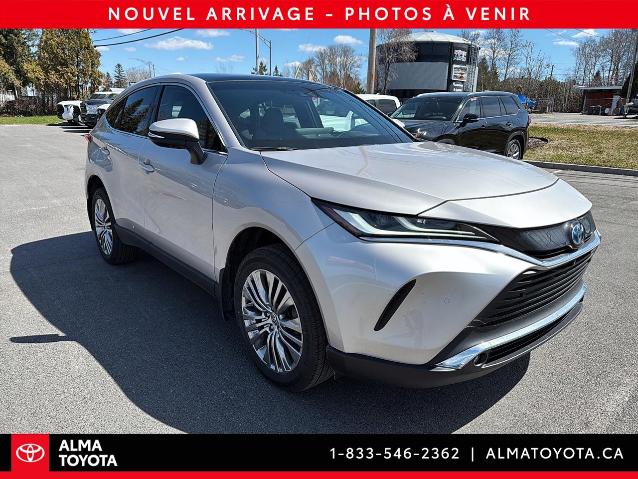 Toyota Venza LIMITED HYBRID 2023-1