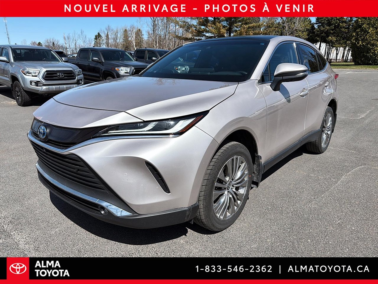 Toyota Venza LIMITED HYBRID 2023-0