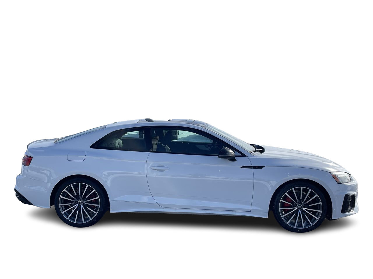New 2023 Ibis white Audi Progressiv image 13