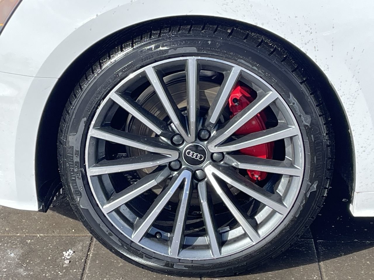 New 2023 Ibis white Audi Progressiv image 18
