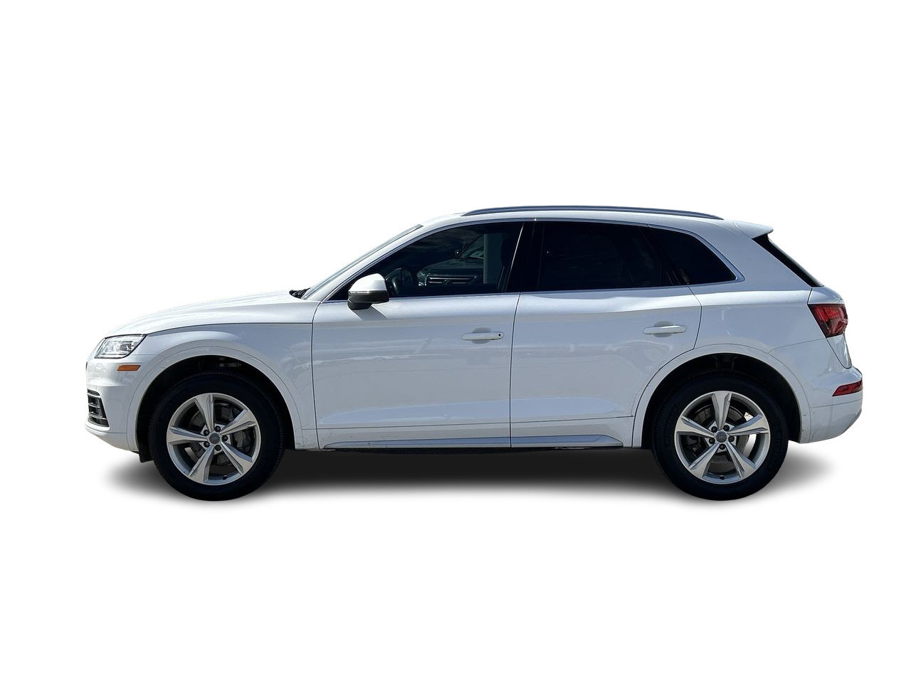 Certified Used 2019 Ibis White Audi Progressiv image 5