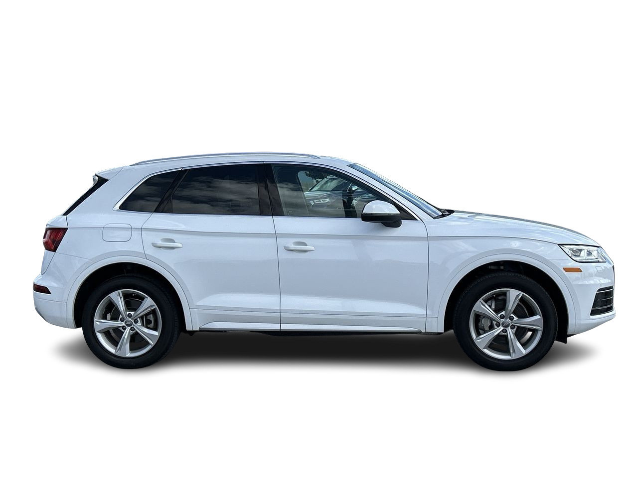 Used 2020 Ibis White Audi Progressiv image 14