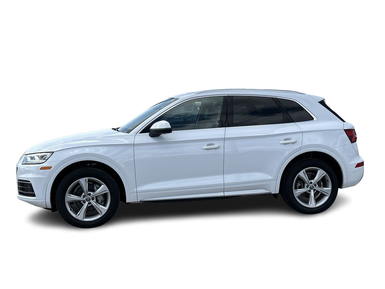 Used 2020 Ibis White Audi Progressiv image 4