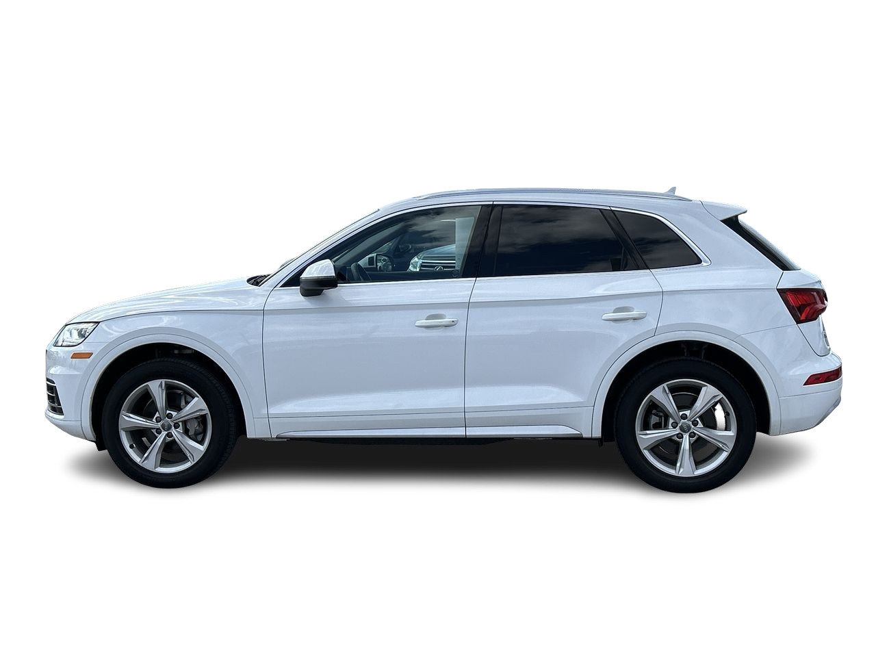 Used 2020 Ibis White Audi Progressiv image 5
