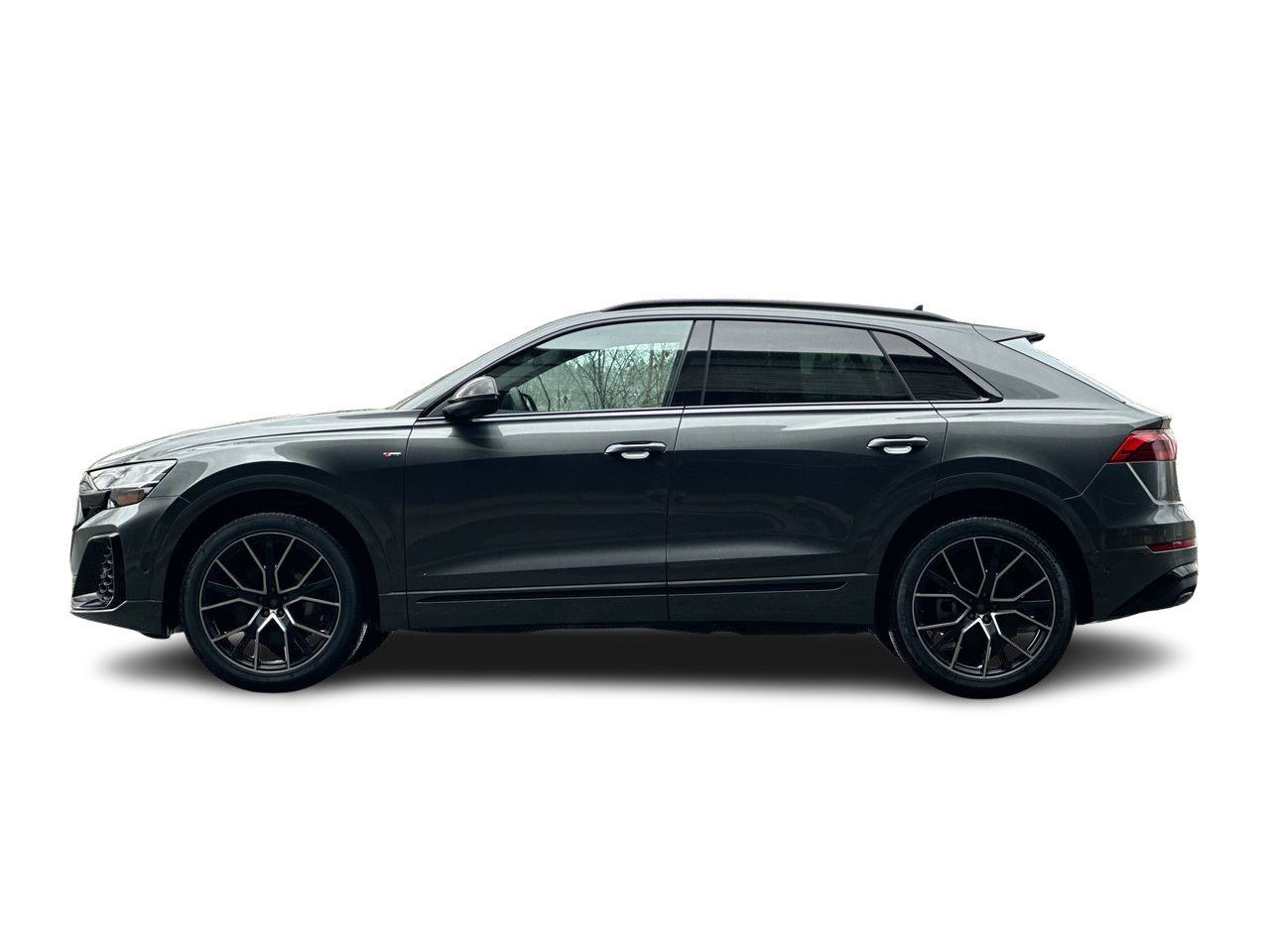2025 Audi Q8 55 Progressiv, Vancouver, Cash