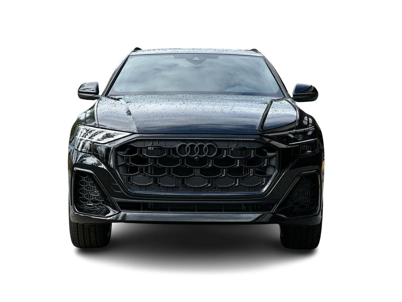 2025 Audi Q8 55 Progressiv, Vancouver, Cash
