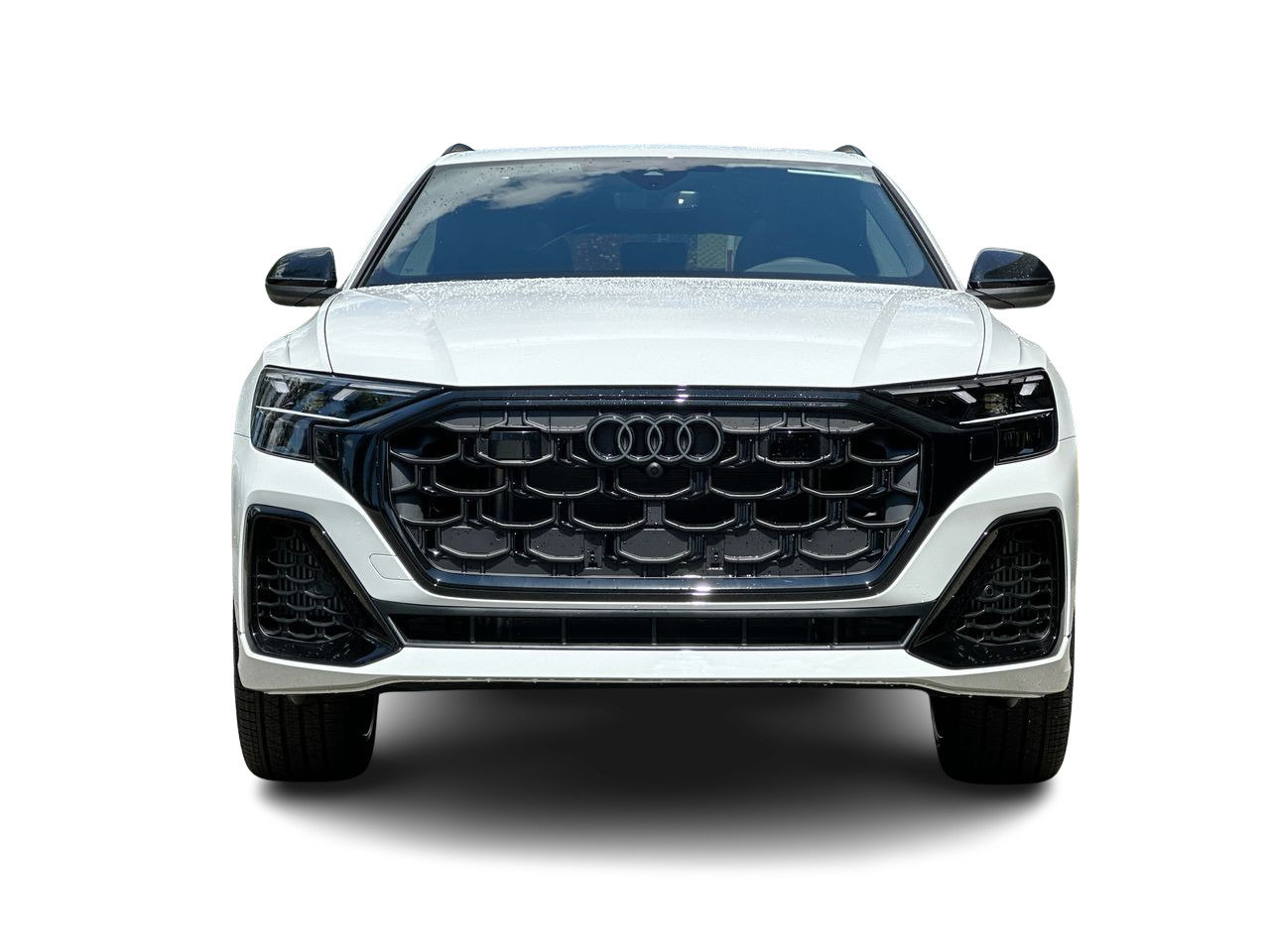 2025 Audi Q8 55 Progressiv, Vancouver, Cash