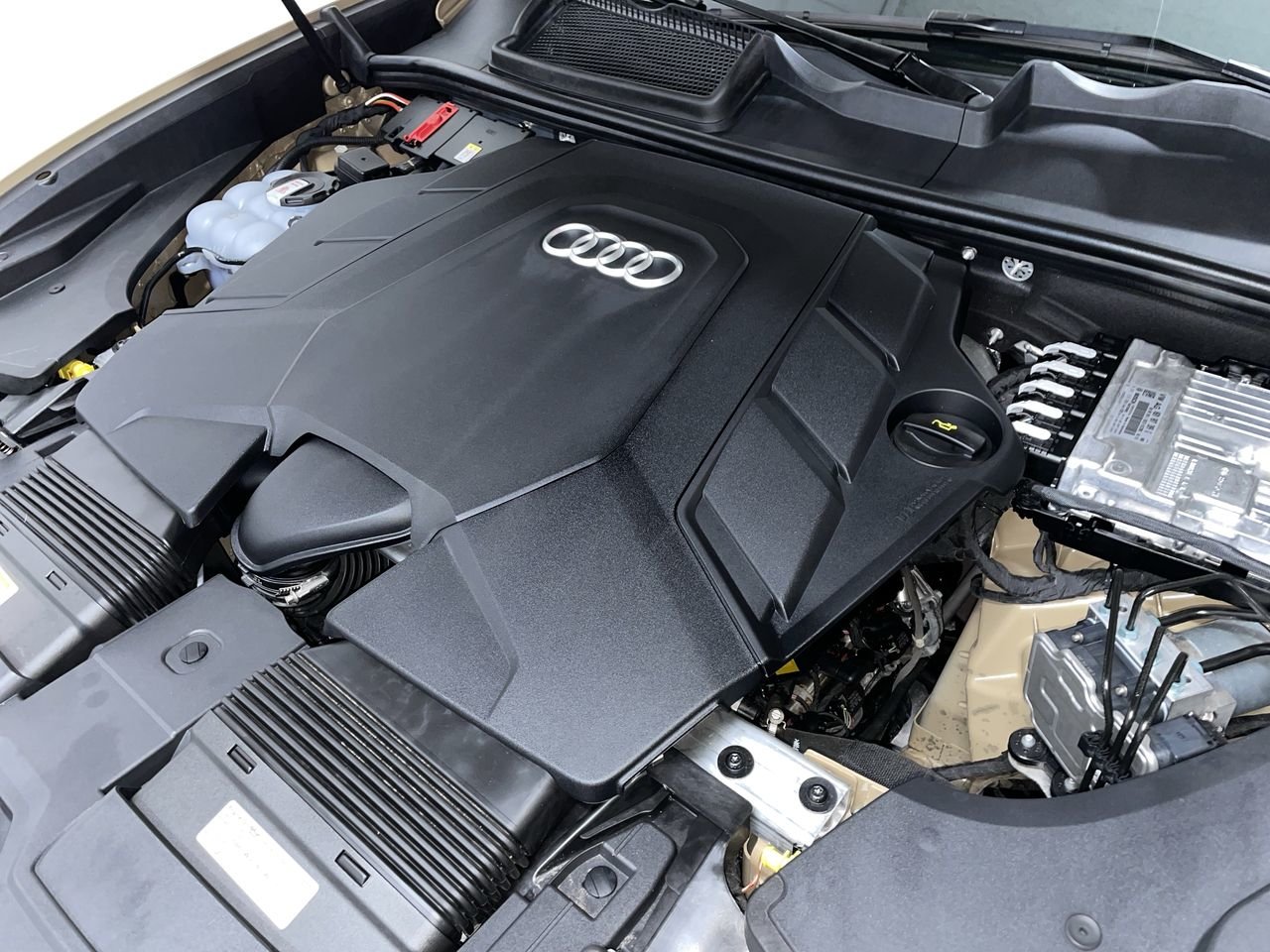 2025 Audi Q8 55 Progressiv, 温哥华, 全款车