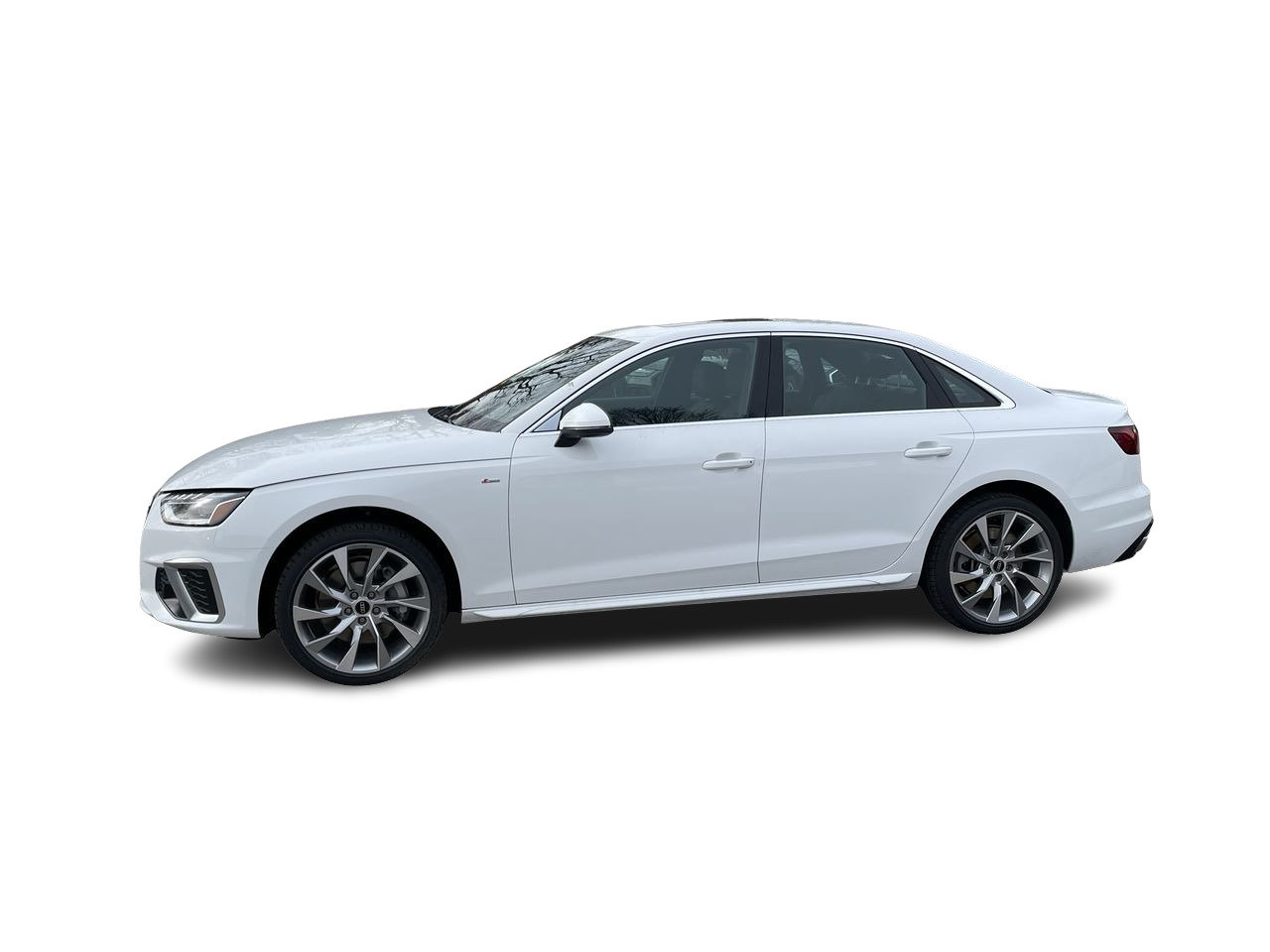 New 2023 Ibis white Audi Progressiv image 4