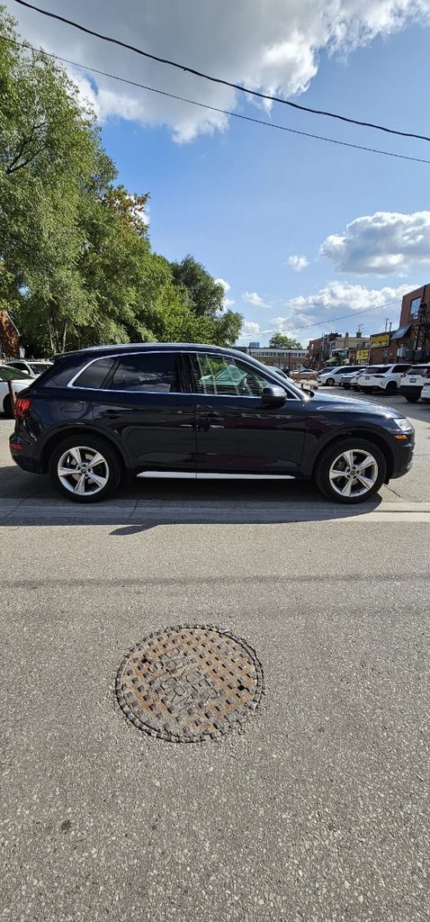 Used 2019 blue Audi PROGRESSIV image 3