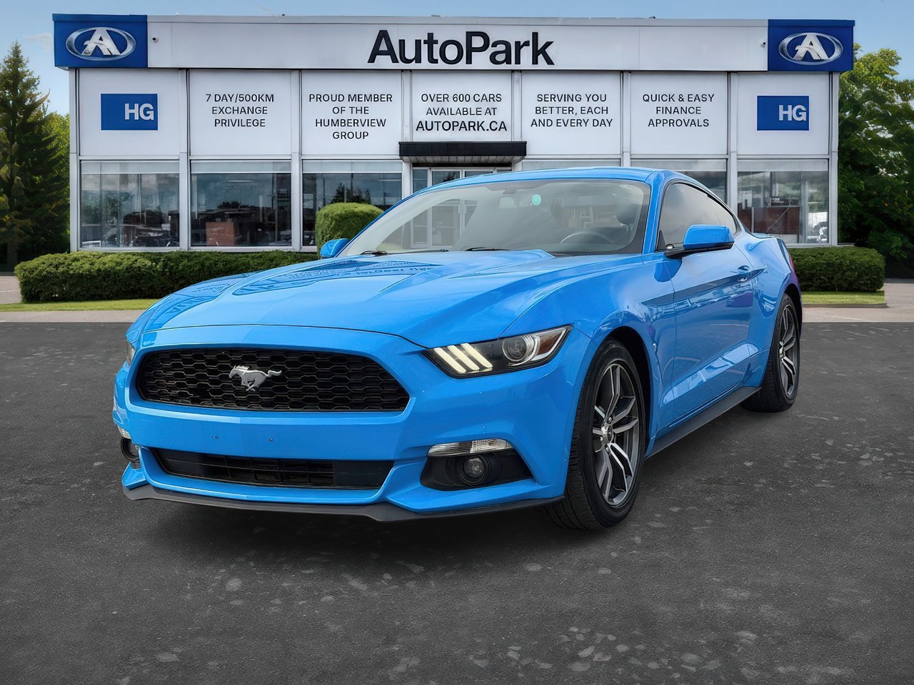 Grabber Blue 2017 Ford Mustang EcoBoost Premium Coupe RWD Coupe Rear-Wheel Drive Automatic