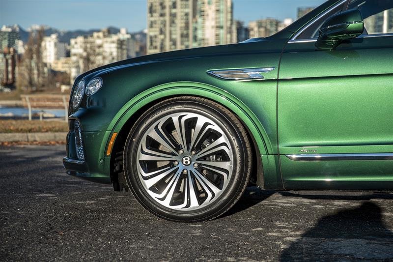Used 2023 Verdant Bentley EWB Azure image 6