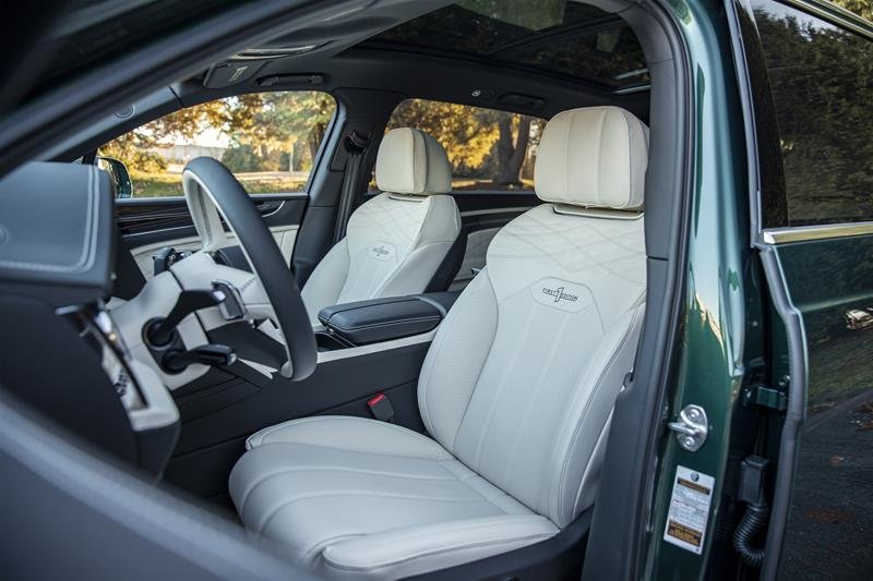 Used 2023 Verdant Bentley EWB Azure image 19