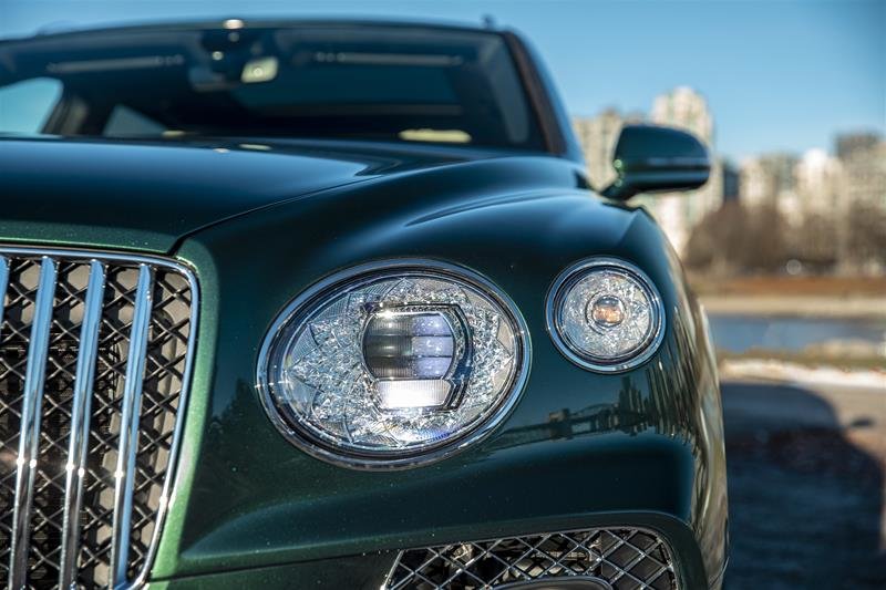 Used 2023 Verdant Bentley EWB Azure image 5
