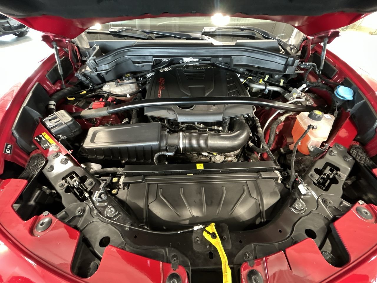 2019 Alfa Romeo Stelvio Ti AWD | Driver Assistance Static Package, Toronto, Cash