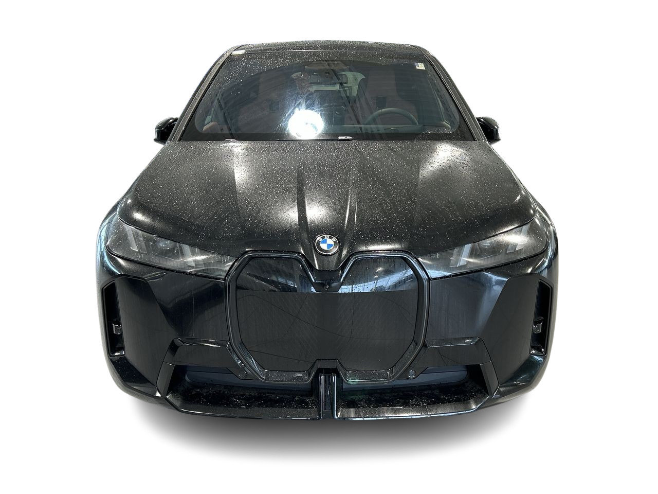 2026 BMW IX XDrive60, Toronto, Cash