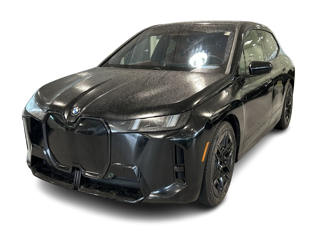 2026 BMW IX XDrive60, Toronto, Cash