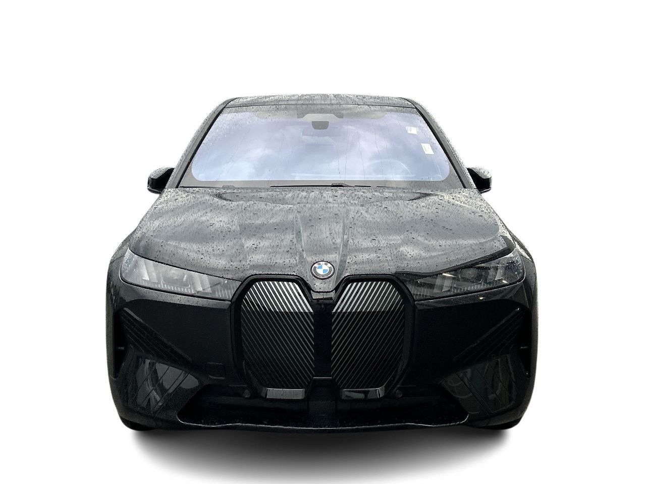 2026 BMW IX XDrive60, Toronto, Cash