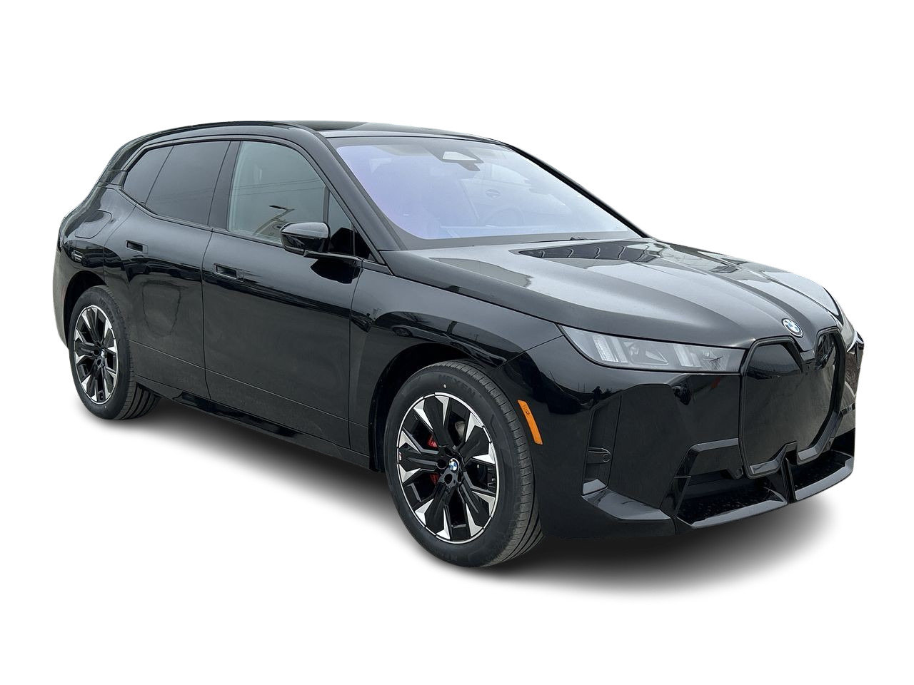 2026 BMW iX xDrive60, 多伦多, 全款车