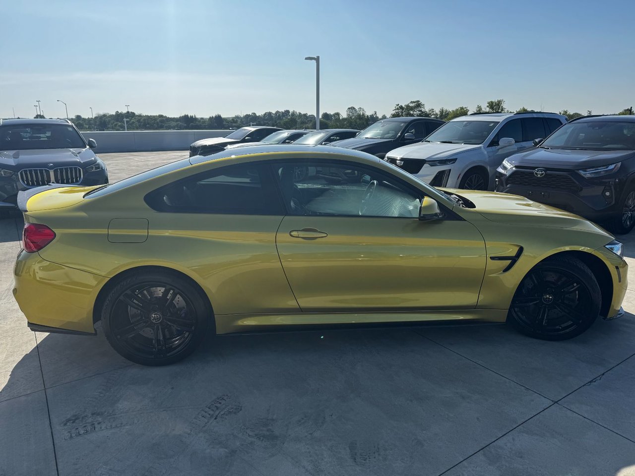 2016 BMW M4 Coupe | Premium PKG | Lights PKG, Toronto, Cash