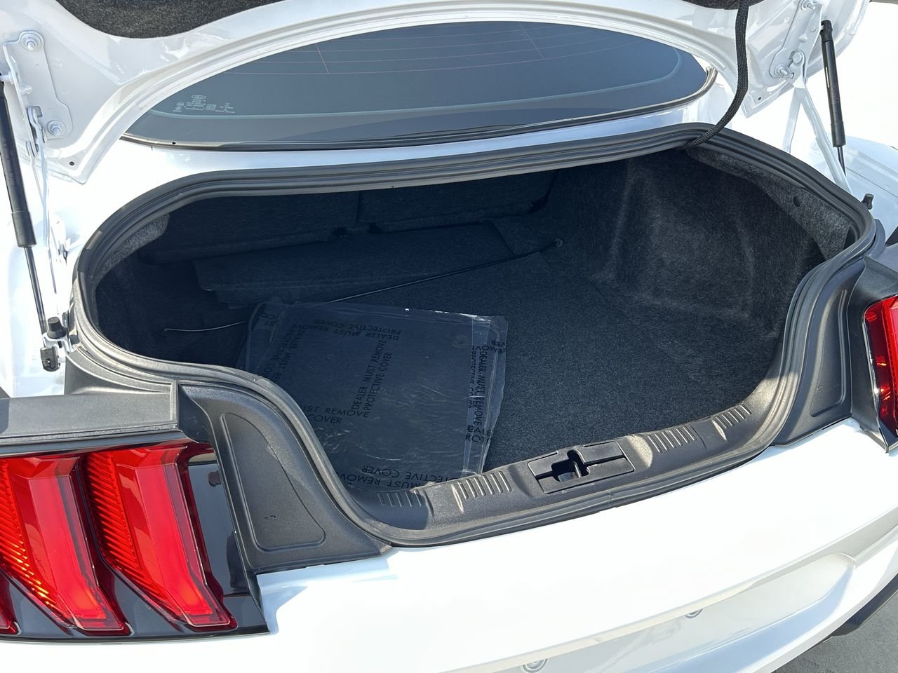 2022 Ford Mustang Coupe Mach 1, Toronto, Cash
