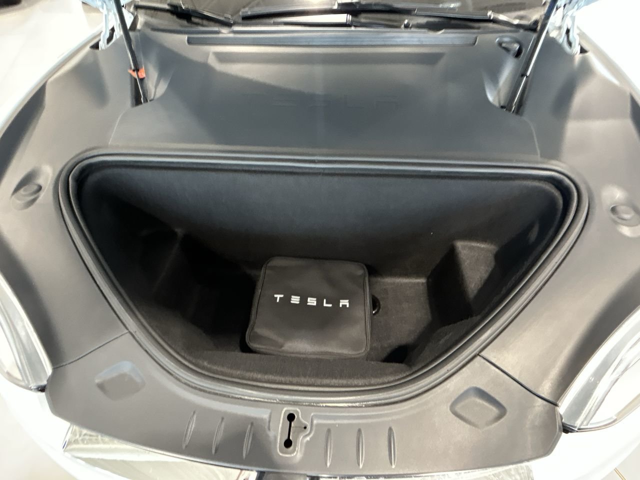 2020 Tesla Model S Performance, Toronto, Cash
