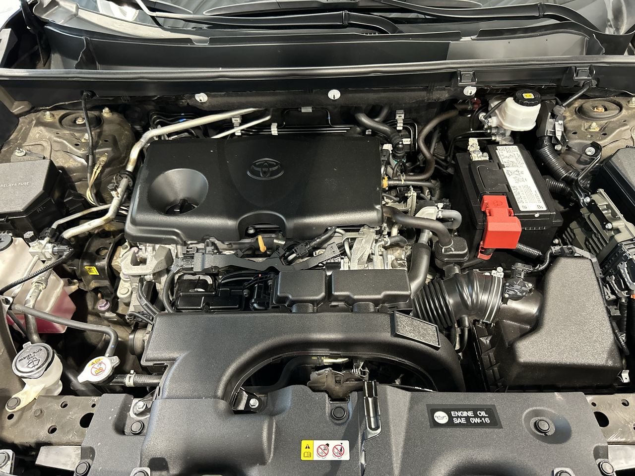 2019 Toyota RAV4 FWD XLE, Toronto, Cash