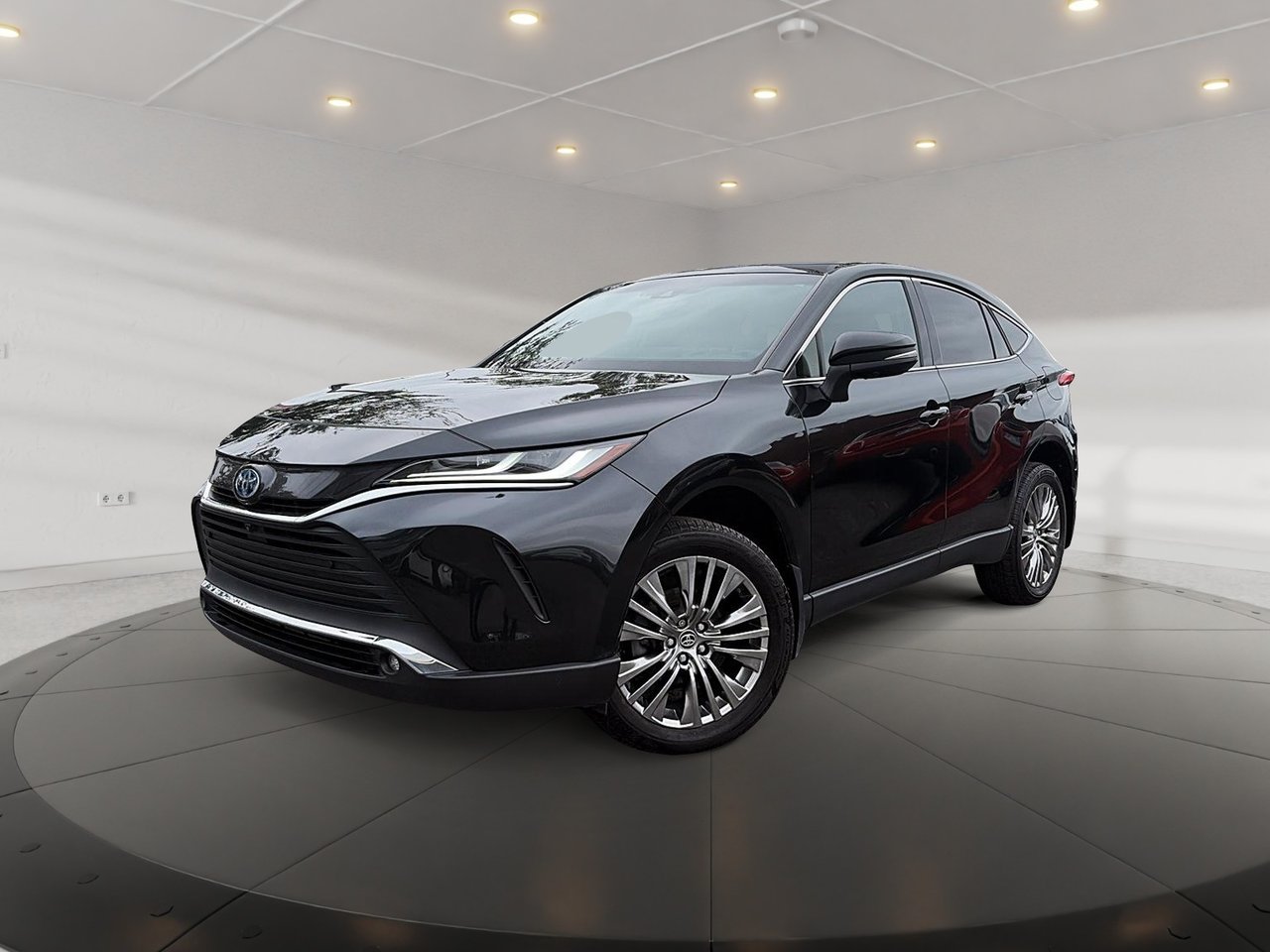 2024 Toyota Venza Limited AWD