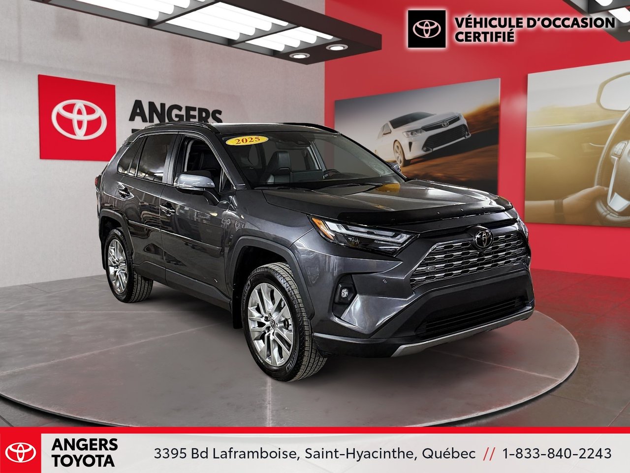 2025 Toyota RAV4 LIMITED-2