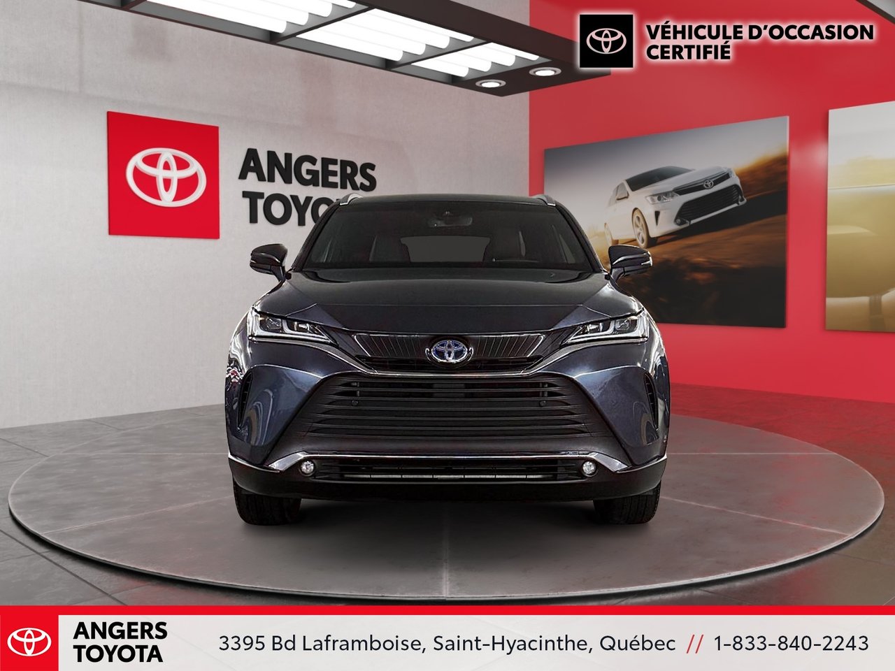 Toyota Venza XLE 2023-1