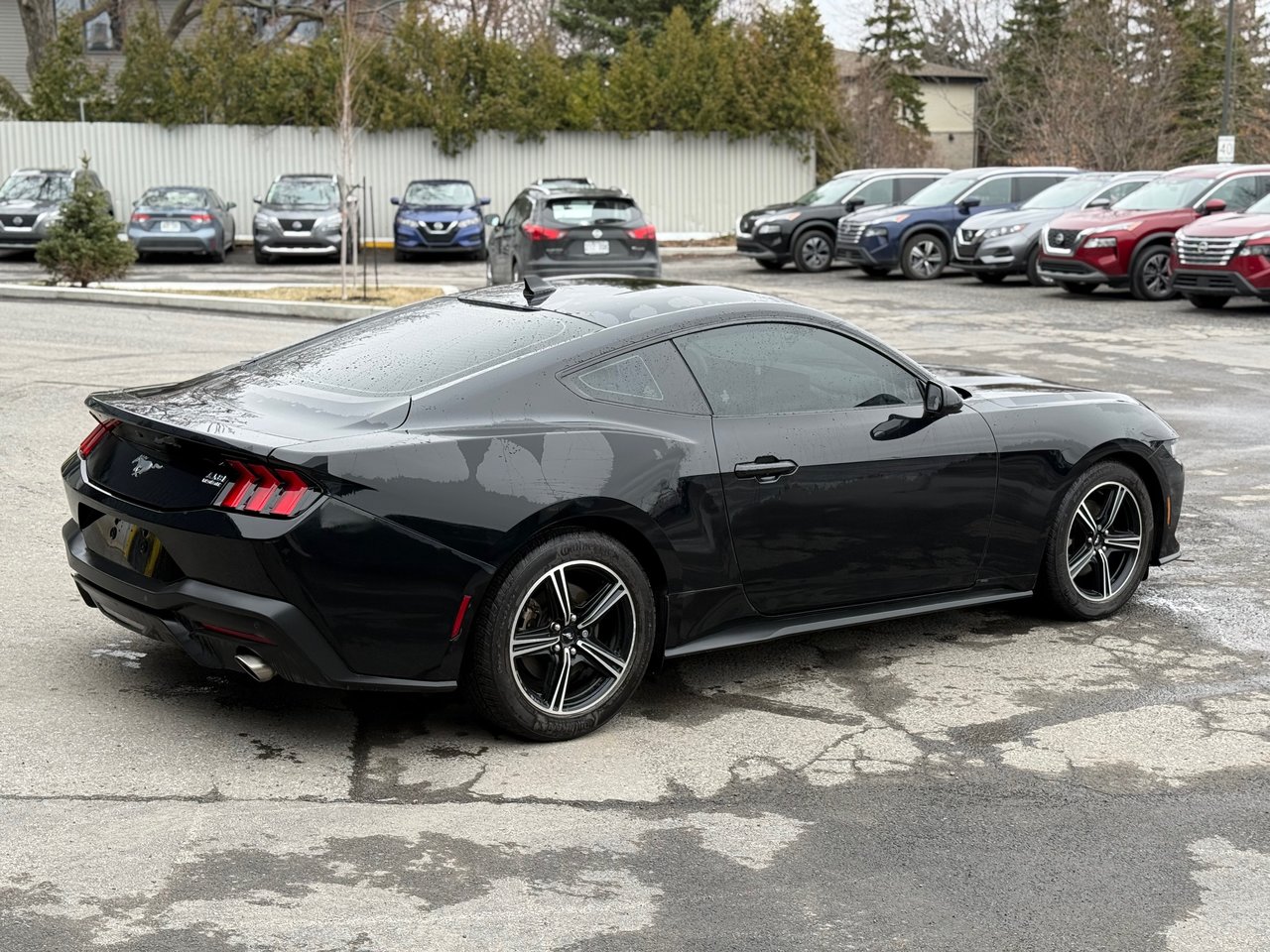 2024 Ford Mustang ECOBOOST-4