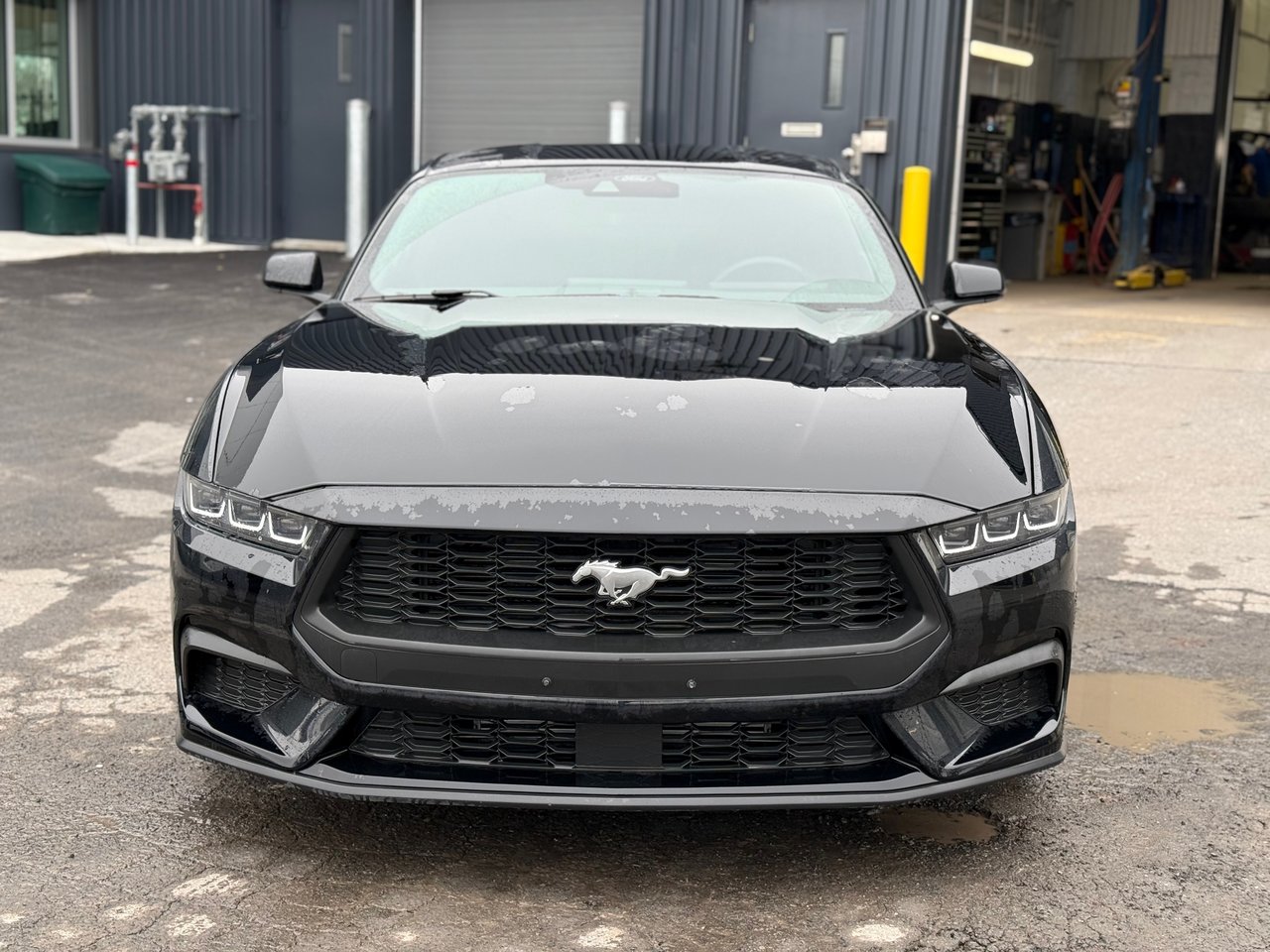 2024 Ford Mustang ECOBOOST-2